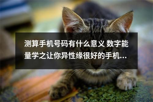 测算手机号码有什么意义 数字能量学之让你异性缘很好的手机号码有哪些呢
