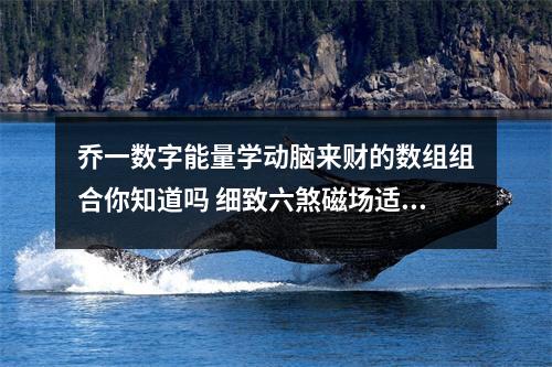 乔一数字能量学动脑来财的数组组合你知道吗 细致六煞磁场适合的行业特性