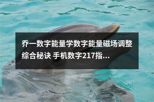 乔一数字能量学数字能量磁场调整综合秘诀 手机数字217指什么都说什么都吃比较胖