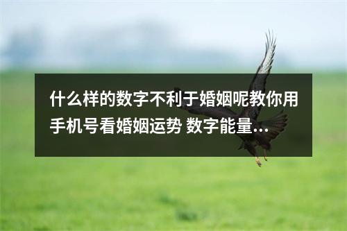 什么样的数字不利于婚姻呢教你用手机号看婚姻运势 数字能量学之会因为工作让你感到压力很大辛苦的手机号码有哪些呢