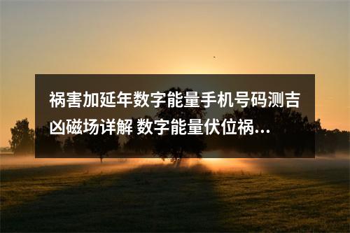 祸害加延年数字能量手机号码测吉凶磁场详解 数字能量伏位祸害0实战案例分析