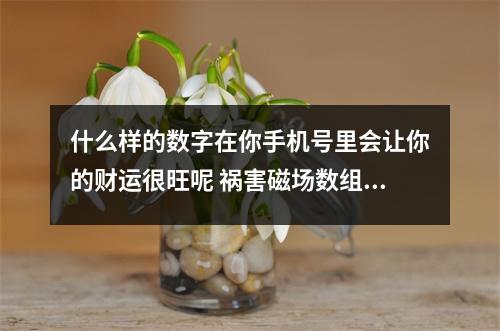 什么样的数字在你手机号里会让你的财运很旺呢 祸害磁场数组特点有na些