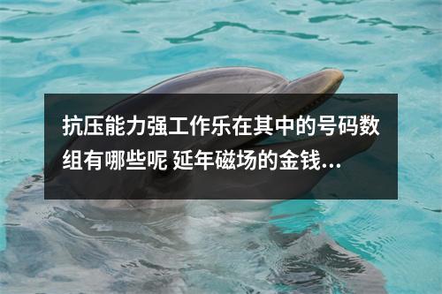 抗压能力强工作乐在其中的号码数组有哪些呢 延年磁场的金钱把控力