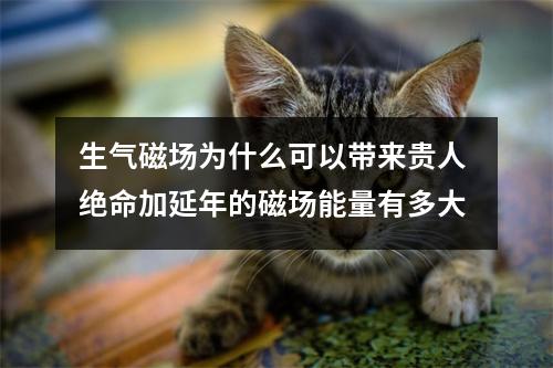 生气磁场为什么可以带来贵人 绝命加延年的磁场能量有多大