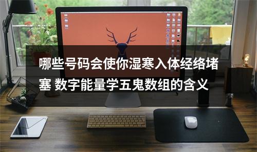 哪些号码会使你湿寒入体经络堵塞 数字能量学五鬼数组的含义