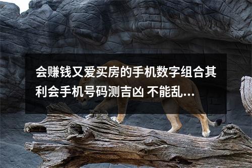 会赚钱又爱买房的手机数字组合其利会手机号码测吉凶 不能乱用的凶星磁场夹5数组组合