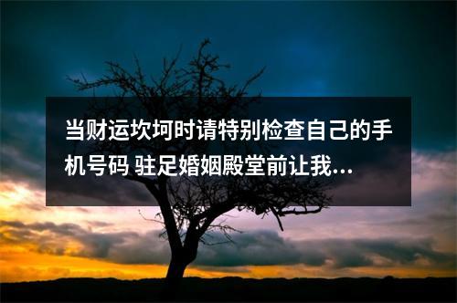 当财运坎坷时请特别检查自己的手机号码 驻足婚姻殿堂前让我们用心考量所选对象