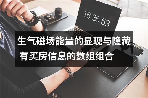 生气磁场能量的显现与隐藏 有买房信息的数组组合