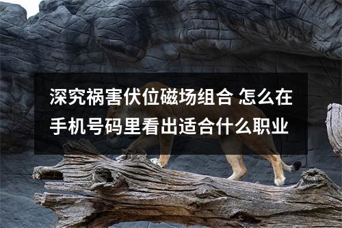 深究祸害伏位磁场组合 怎么在手机号码里看出适合什么职业
