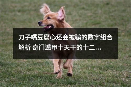 刀子嘴豆腐心还会被骗的数字组合解析 奇门遁甲十天干的十二状态