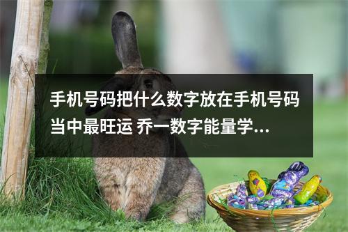 手机号码把什么数字放在手机号码当中最旺运 乔一数字能量学有这些组合的注意防止与人发生正面冲突
