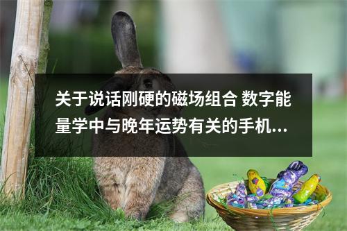 关于说话刚硬的磁场组合 数字能量学中与晚年运势有关的手机号