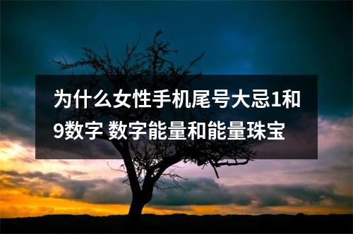 为什么女性手机尾号大忌1和9数字 数字能量和能量珠宝