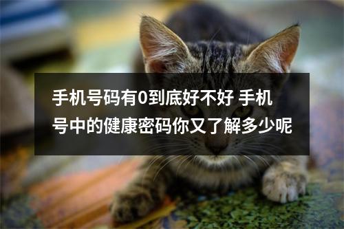 手机号码有0到底好不好 手机号中的健康密码你又了解多少呢