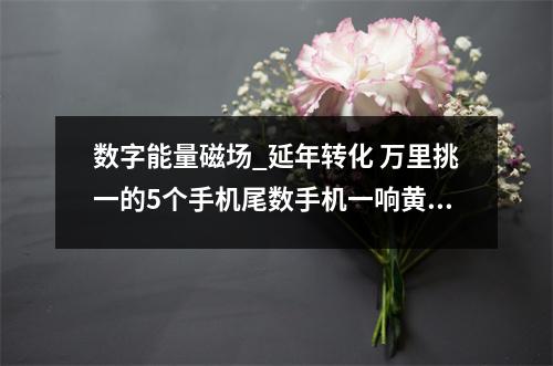 数字能量磁场_延年转化 万里挑一的5个手机尾数手机一响黄金万两