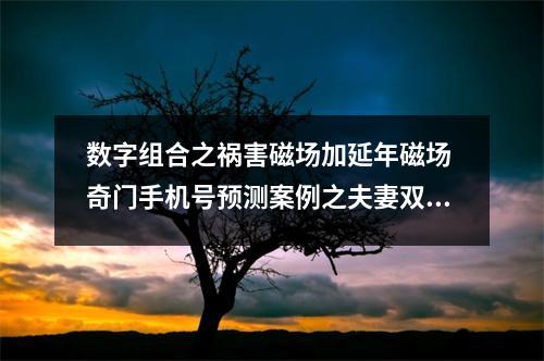 数字组合之祸害磁场加延年磁场 奇门手机号预测案例之夫妻双方内心不合感情没有生