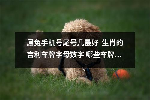 属兔手机号尾号几最好  生肖的吉利车牌字母数字 哪些车牌数字组合寓意好