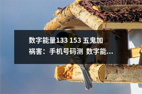 数字能量133 153 五鬼加祸害：手机号码测  数字能量821341 手机号码中经常会见到这样