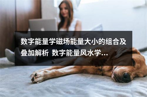 数字能量学磁场能量大小的组合及叠加解析  数字能量风水学会让你喜欢动脑子熬夜的手机号