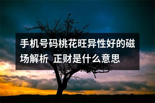 手机号码桃花旺异性好的磁场解析  正财是什么意思