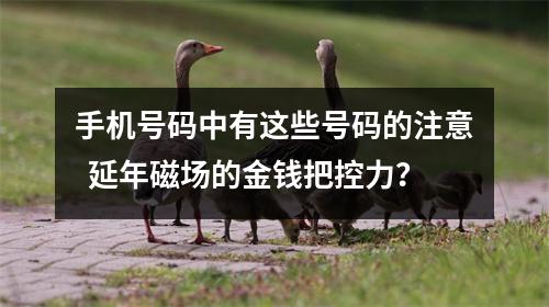 手机号码中有这些号码的注意  延年磁场的金钱把控力？
