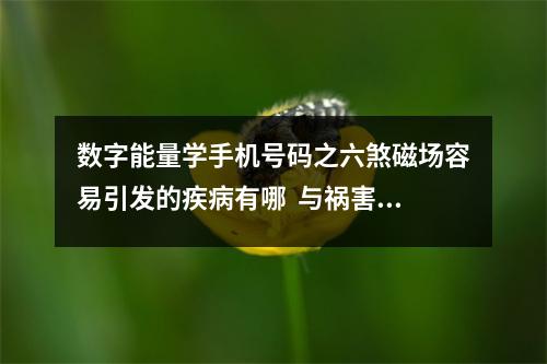 数字能量学手机号码之六煞磁场容易引发的疾病有哪  与祸害磁场之人的相处之道