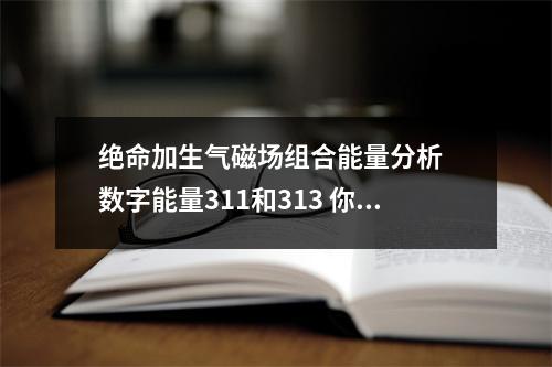 绝命加生气磁场组合能量分析  数字能量311和313 你的手机号有延年磁场数