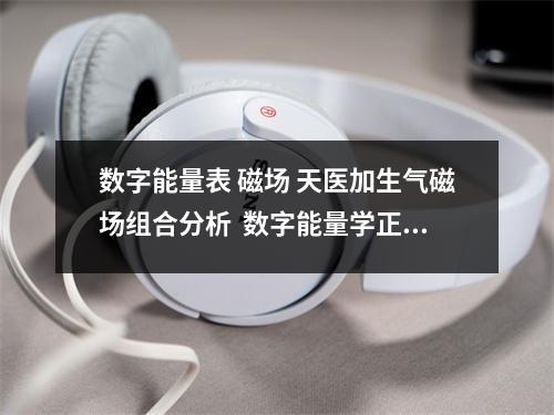 数字能量表 磁场 天医加生气磁场组合分析  数字能量学正负面