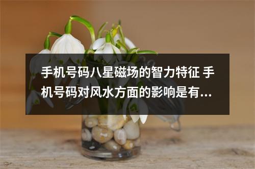 手机号码八星磁场的智力特征 手机号码对风水方面的影响是有的但不是立即起效