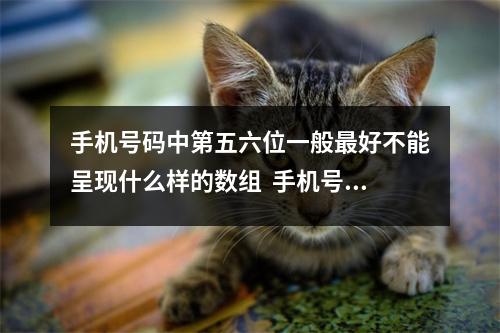 手机号码中第五六位一般最好不能呈现什么样的数组  手机号码凶星六煞磁场现象