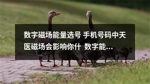 数字磁场能量选号 手机号码中天医磁场会影响你什  数字能量1531含义